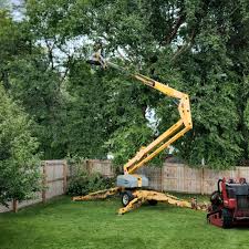 Best Aeration Services  in Hendersonville, TN