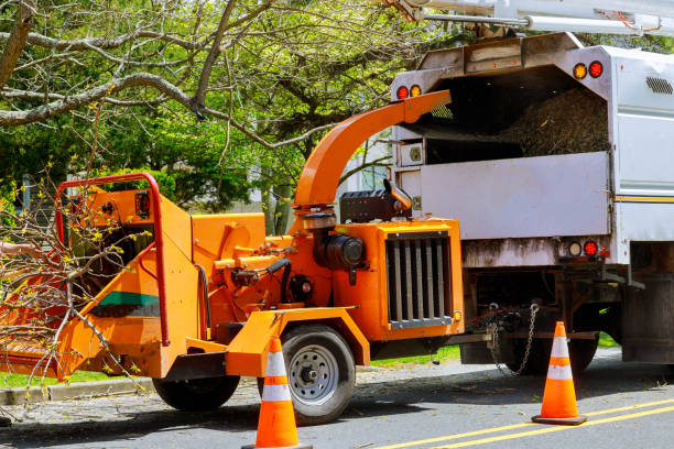 Best Tree Cabling and Bracing  in Hendersonville, TN