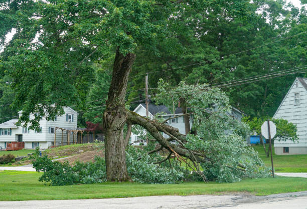 Best Leaf Removal  in Hendersonville, TN