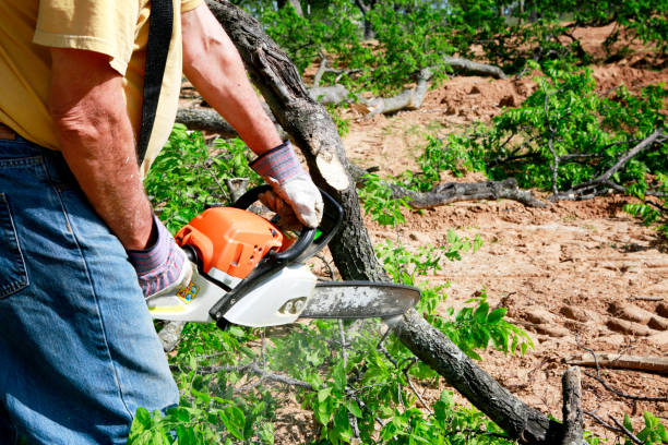 Best Grass Overseeding  in Hendersonville, TN